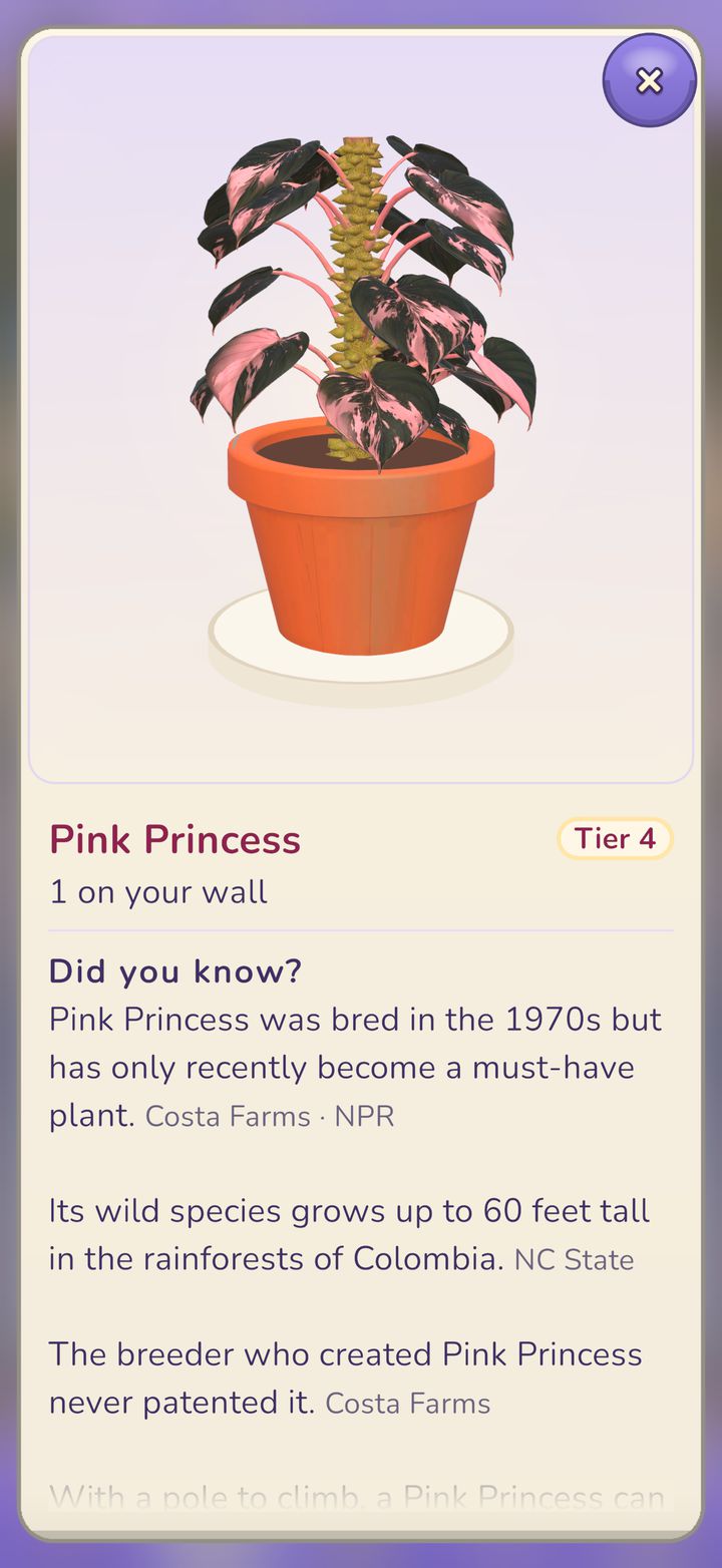 The Pink Princess plant in the Book, with its Did you know? facts below.