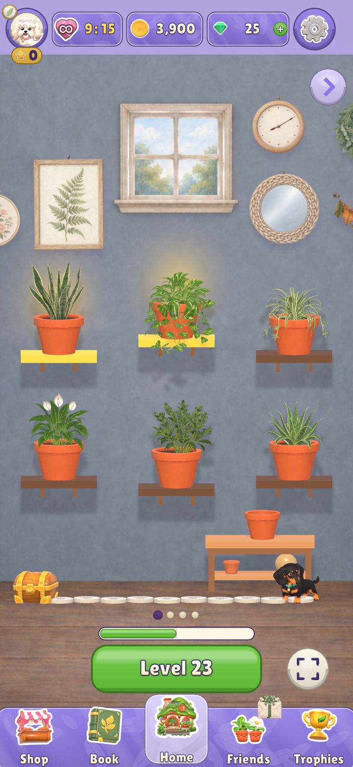 A painted room with potted plants on sunny yellow shelves, framed pictures and a round mirror on the wall.